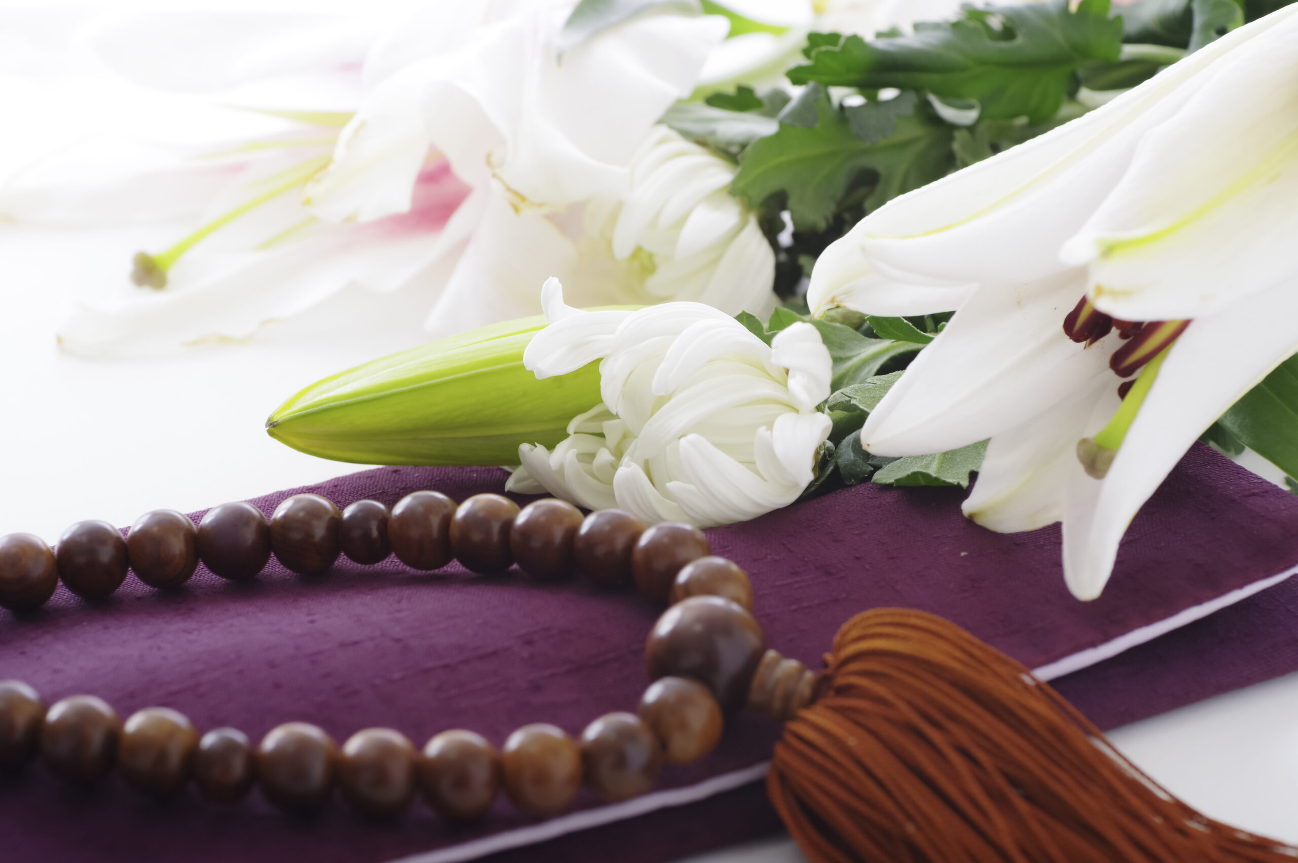 近所の方との会話のイメージ