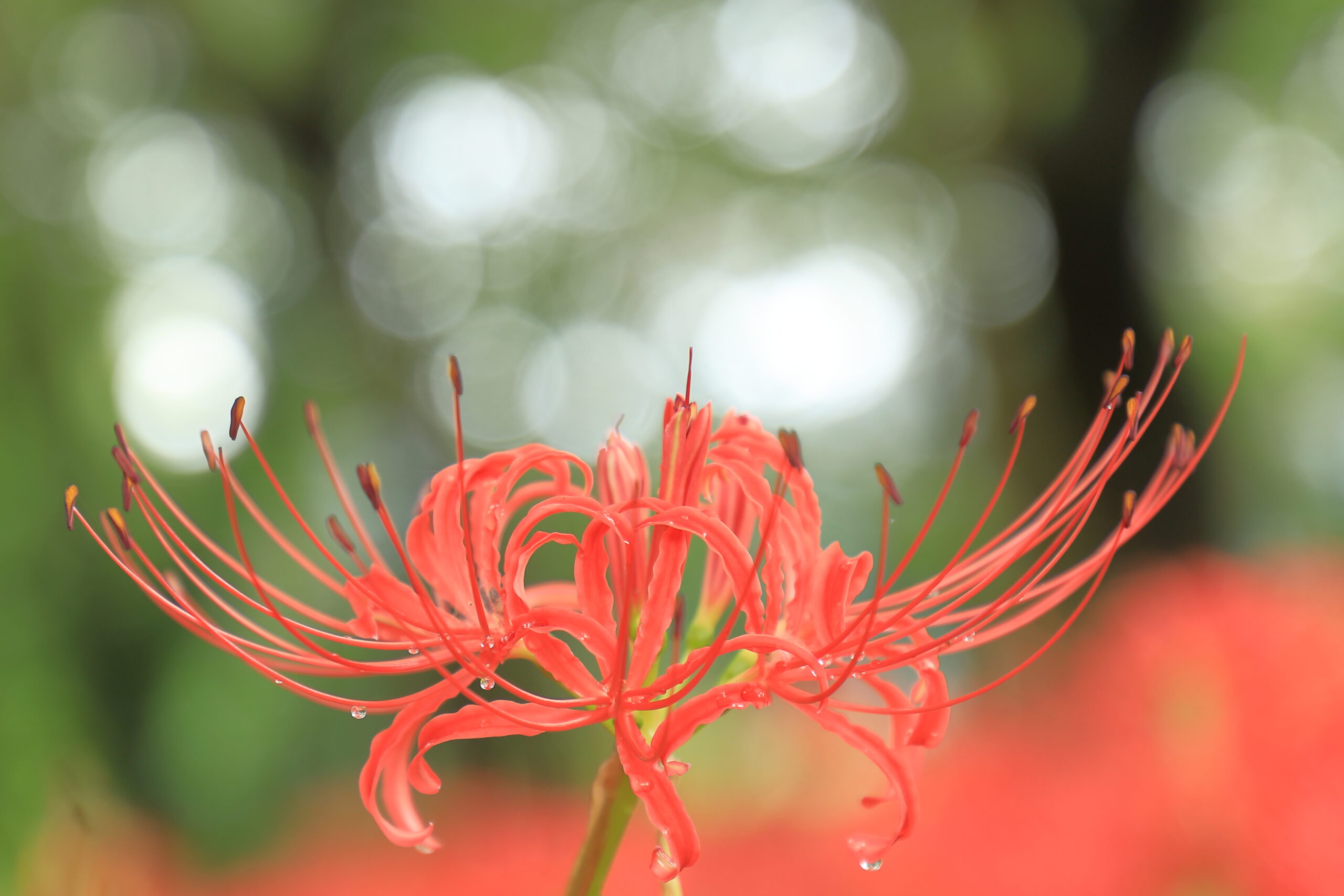 メッセージを支える習慣